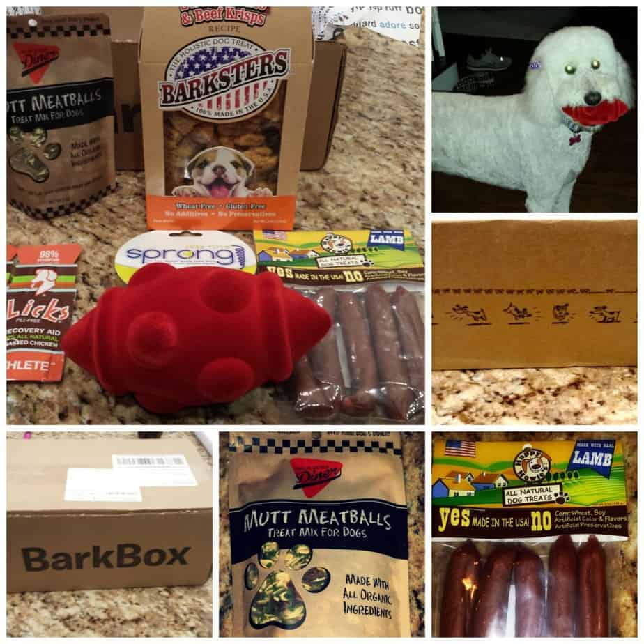 barkbox collage