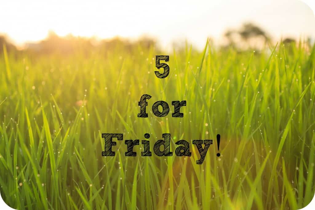 5 for friday