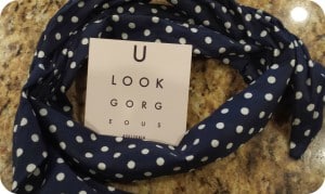 fabfitfun headband