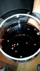 fruit fly wine