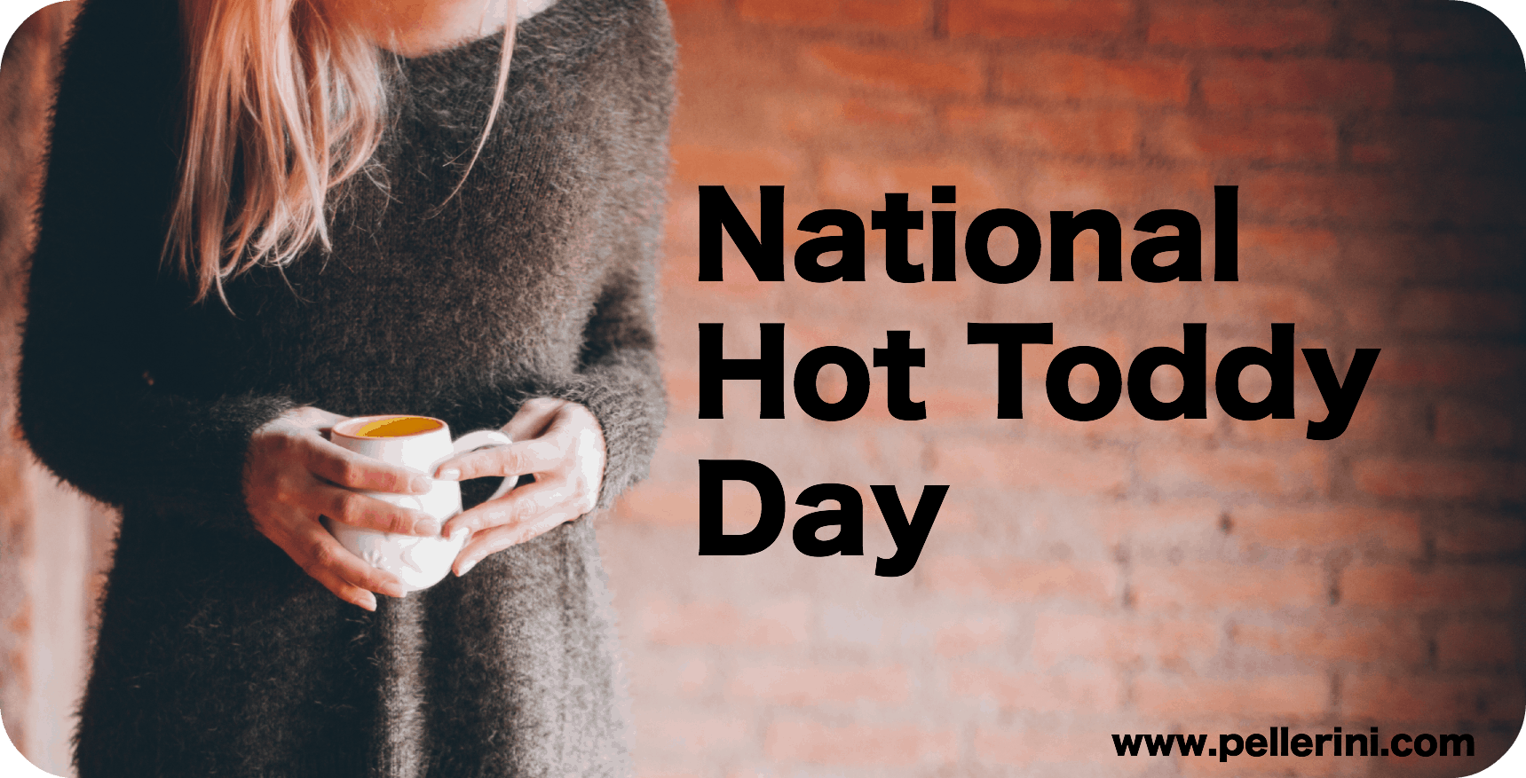 national hot toddy day