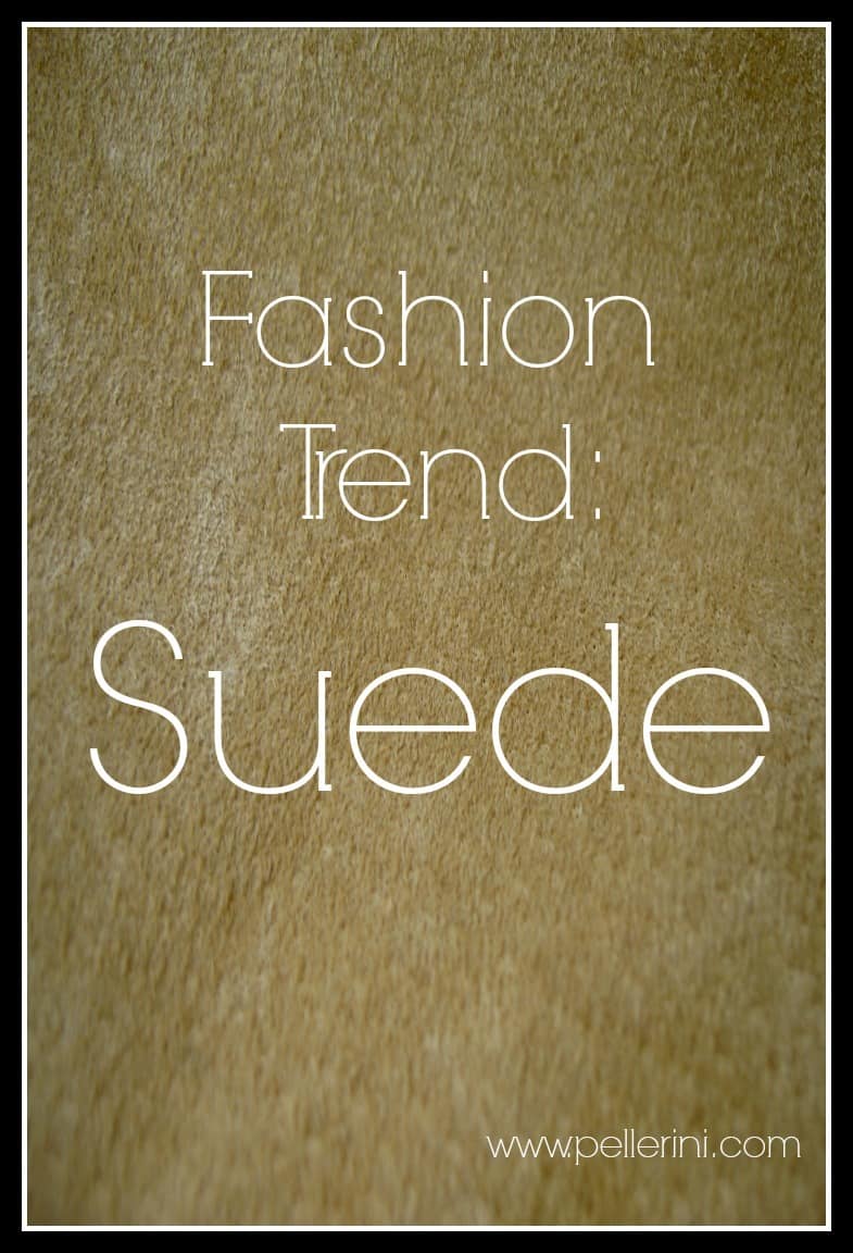 Fashion Trend Suede