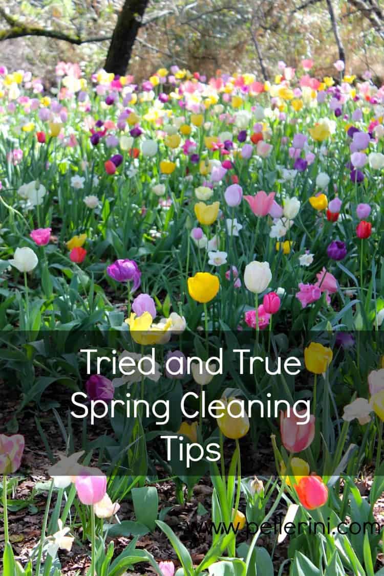 Spring Cleaning Tips