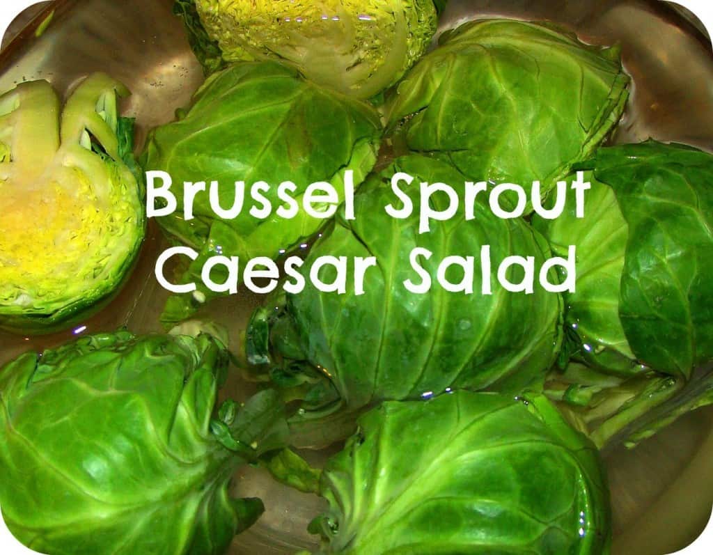 Brussel Sprout Caesar Salad via Pellerini Proclaims