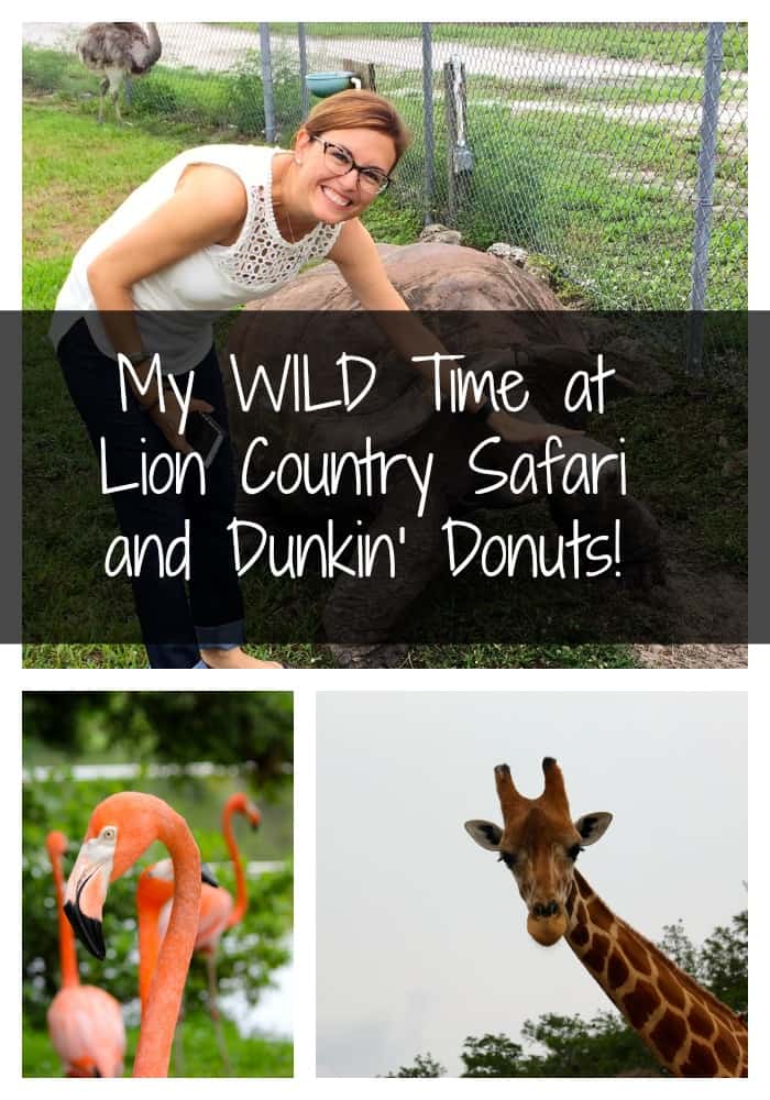My Wild Time at Lion Country Safari and Dunkin Donuts