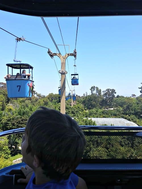 Skyfari ride at San Diego Zoo