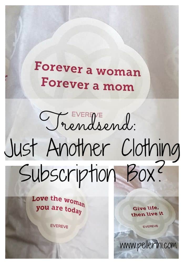 Trendsend Just Another Clothing Subscription Box