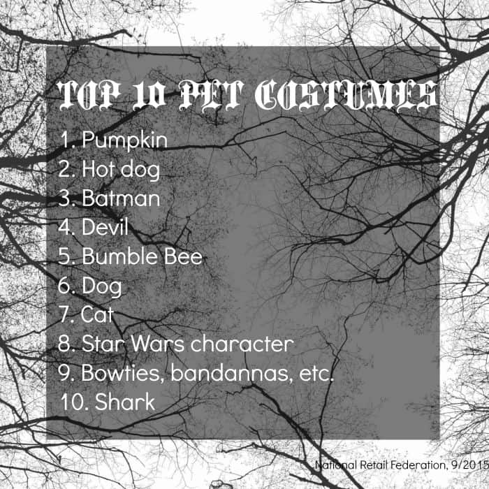 top 10 pet costumes