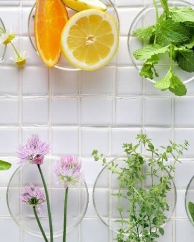 A Pairing Guide: The Best Wines For The Herbs You Cook With!