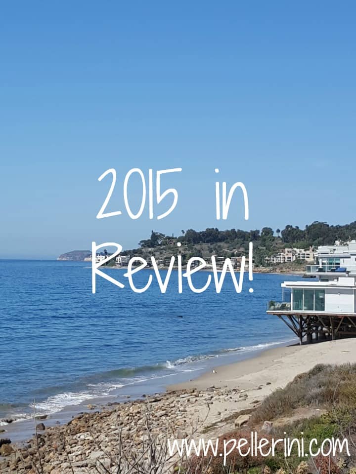 2015 in review