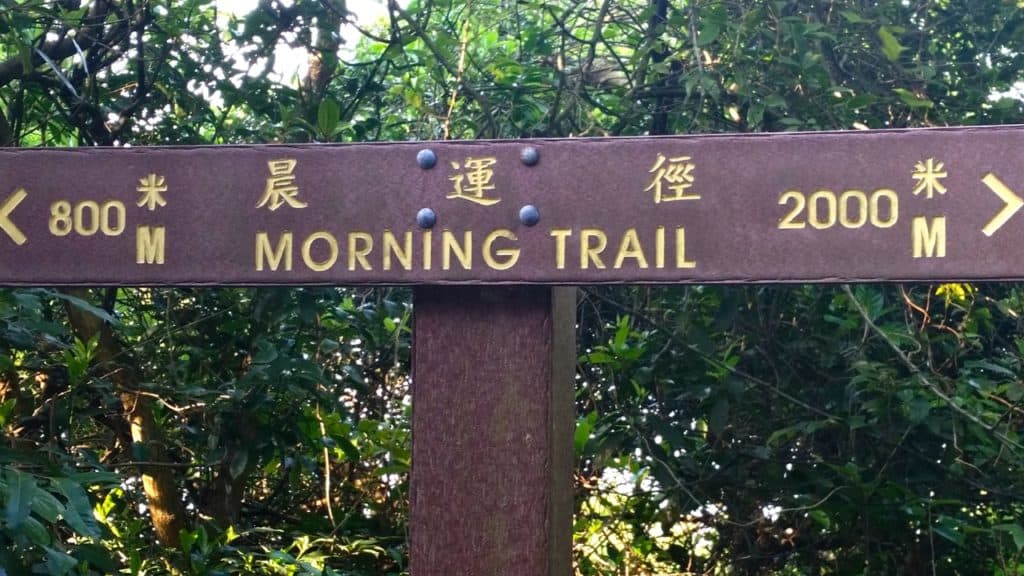 Top 10 Things to See and Do in Hong Kong Morning Trail
