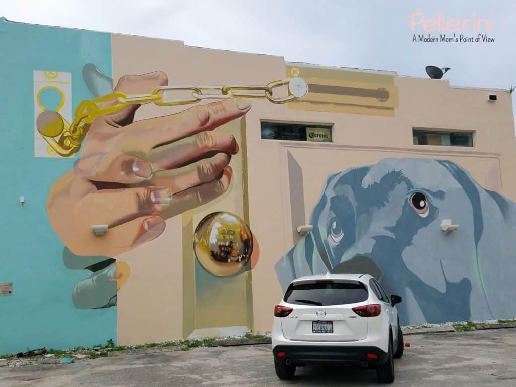 Mazda West Palm Beach Street Art Case