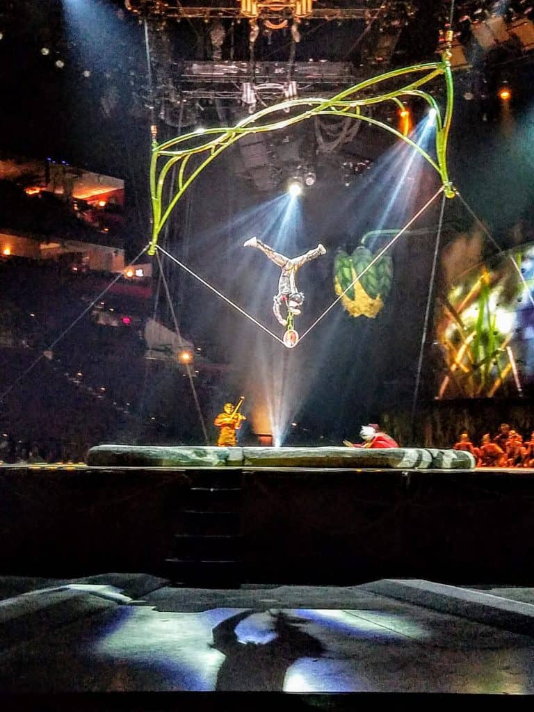 Cirque du Soleil Act