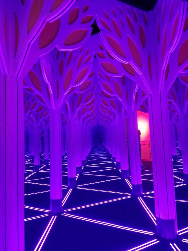 Museum of Science and Industry Mirror Maze