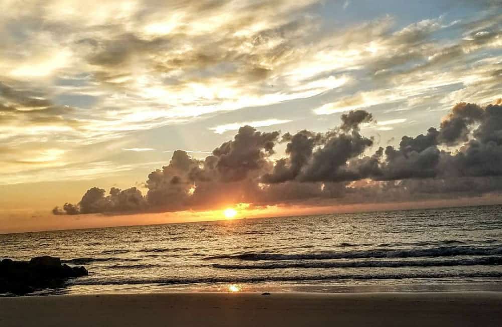 the palm beaches sunrise