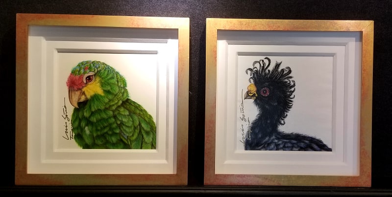 Key West Gallery Birds