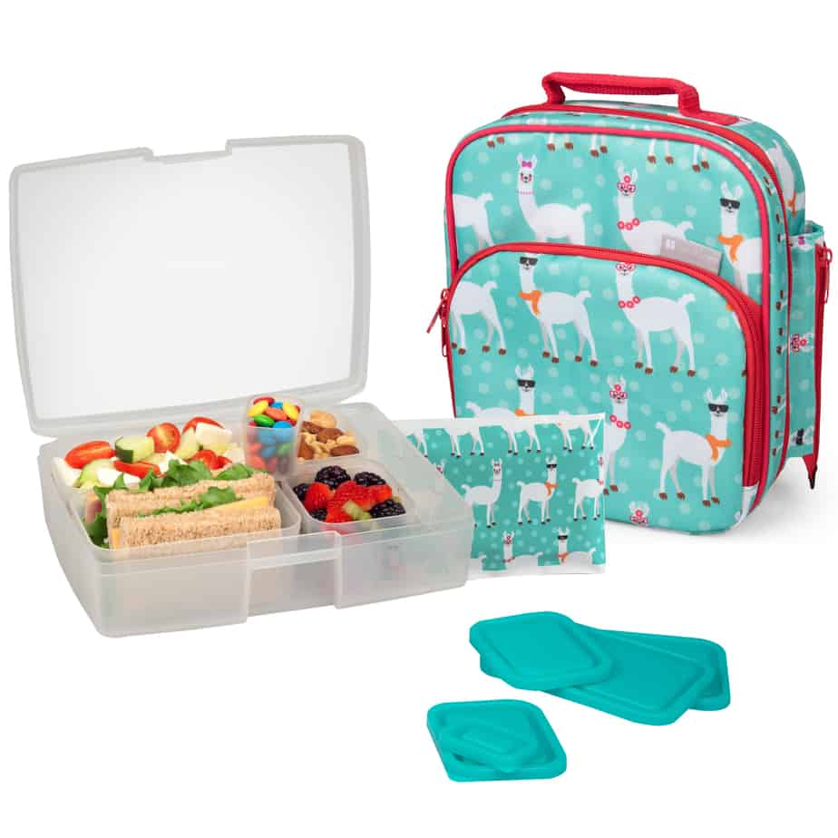 Back to school organization,Bentology lunch box