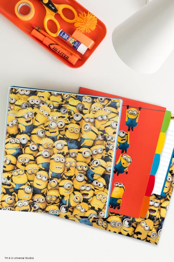 Minions_Collection_736x1104