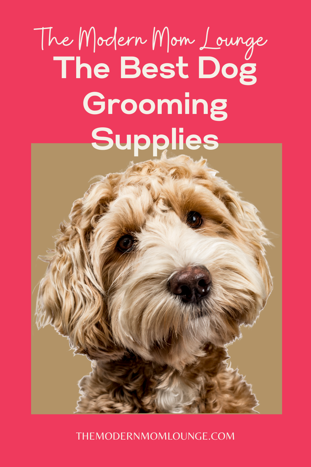 The Absolute Best Dog Grooming Supplies