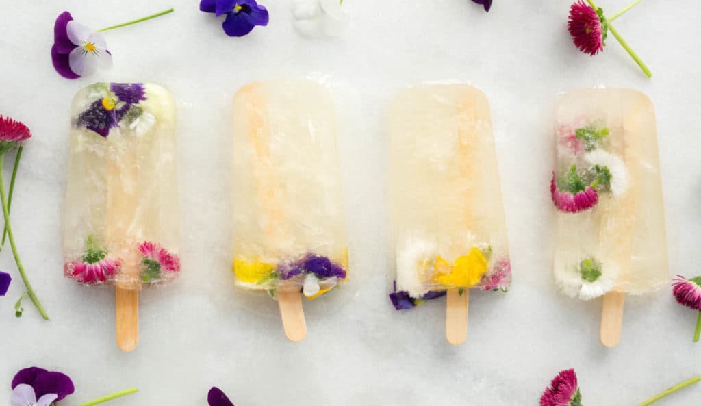 champagne_flower_St_Germain_popsicles-1-1360x787