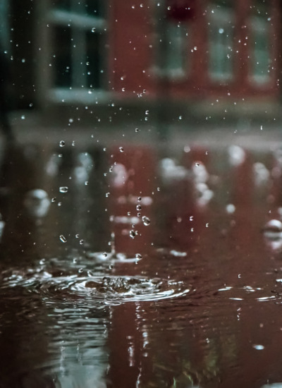 How To Prevent Your Basement Renovation From Flooding