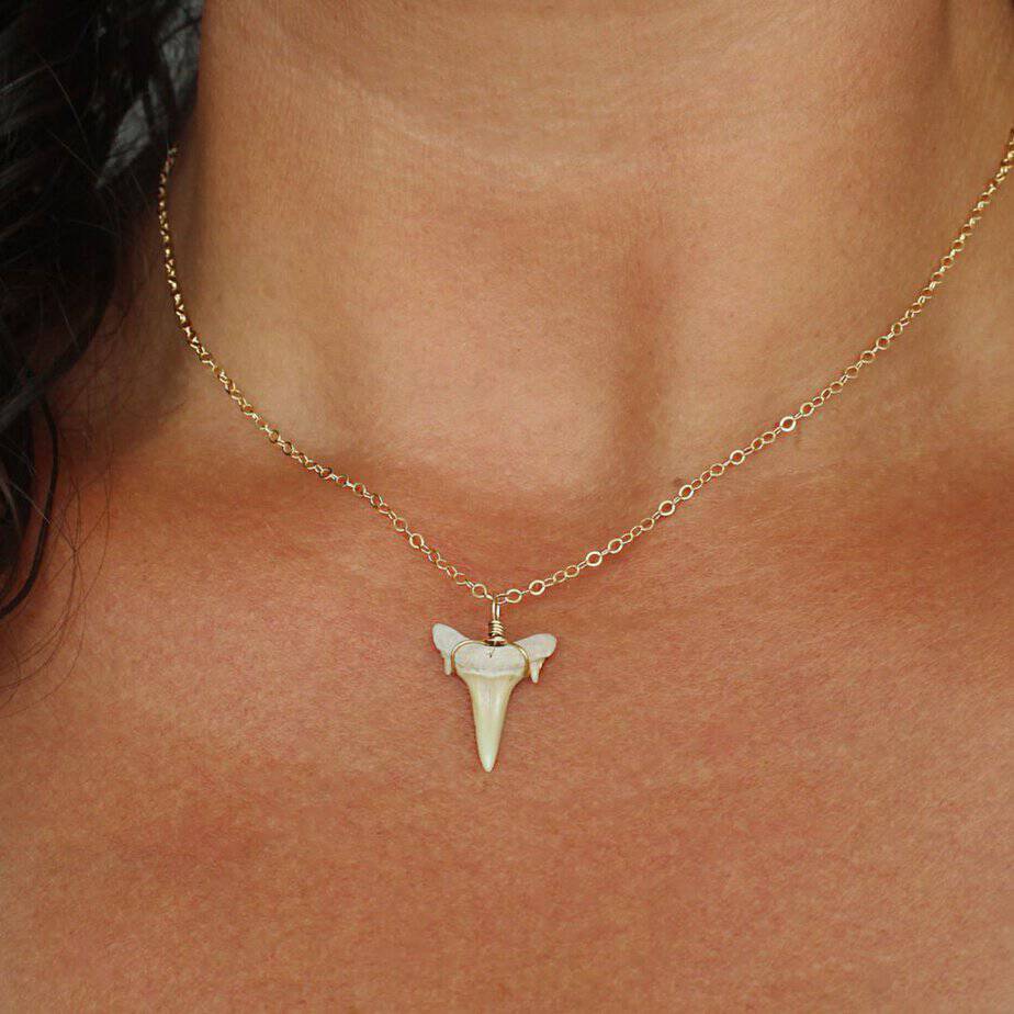 shark tooth necklace