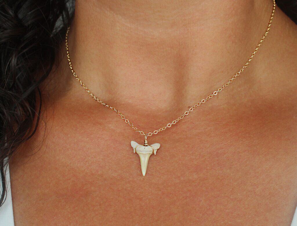 shark tooth necklace